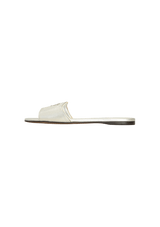 METALLIC SLIDES 38