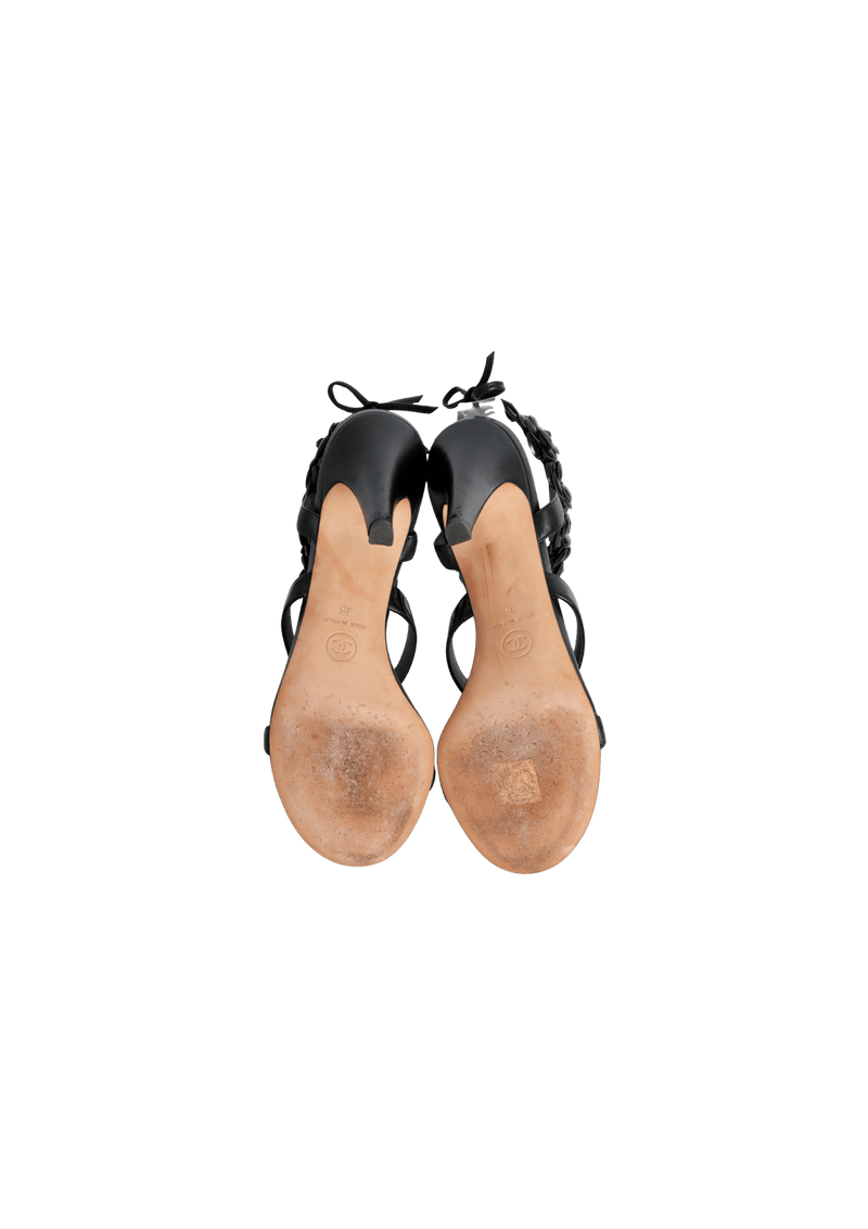 CAMELLIA SANDALS 36