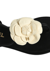 CAMELLIA T-STRAP CC FLATS 36