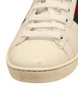 WEB BEE ACE SNEAKERS  36