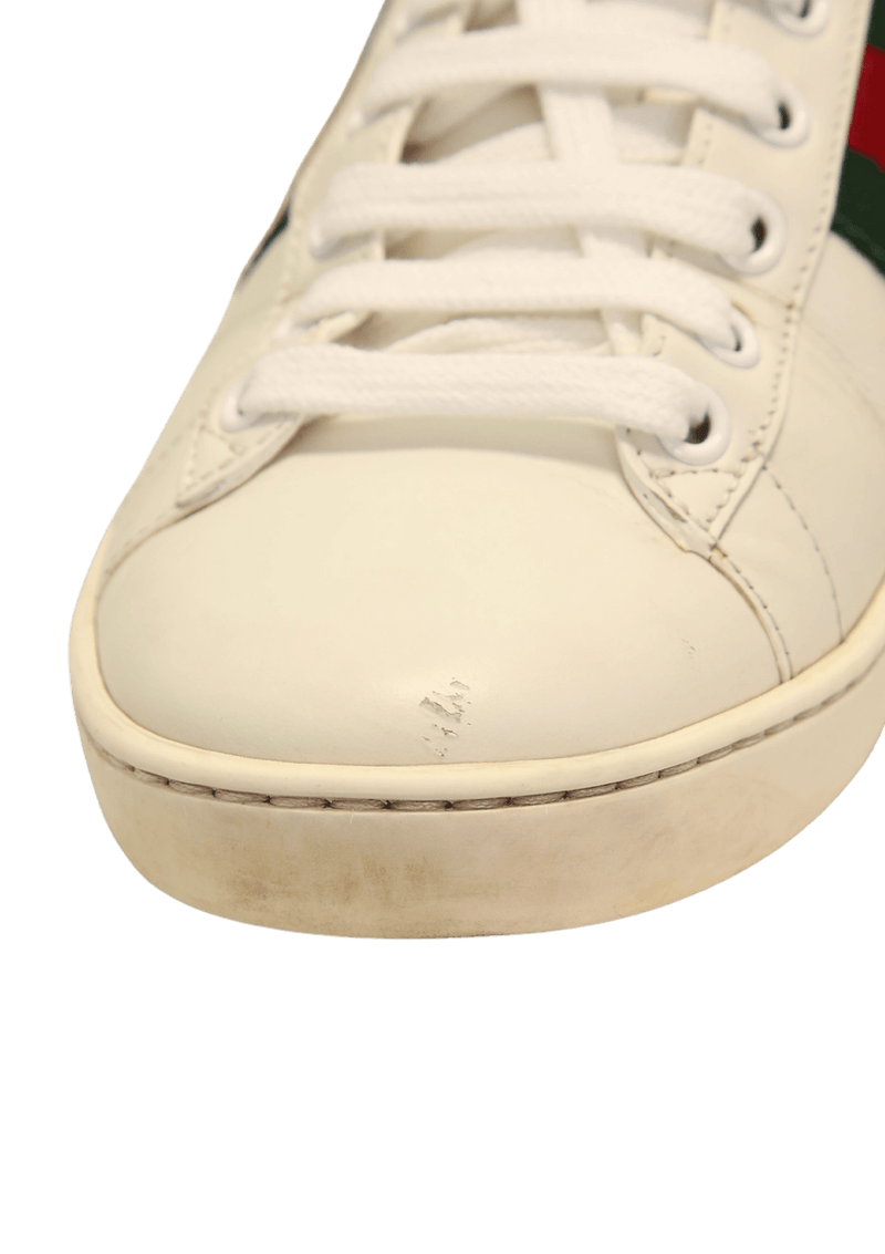 WEB BEE ACE SNEAKERS  36