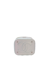 IRIDESCENT SMALL TOP HANDLE VANITY CASE