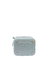 IRIDESCENT SMALL TOP HANDLE VANITY CASE