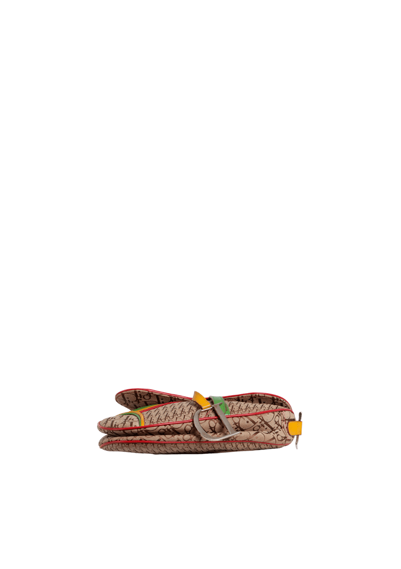 DIORISSIMO RASTA SADDLE BAG