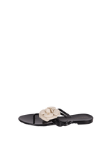 RUBBER CAMELLIA SLIDES