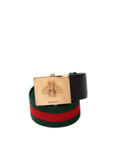 QUEEN MARGARET BEE WEB 90