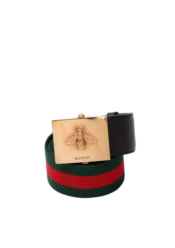 QUEEN MARGARET BEE WEB 90