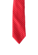 PRINTED SILK TIE