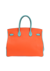 BICOLOR CLEMENCE BIRKIN 35