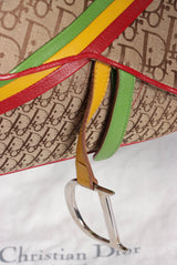 DIORISSIMO RASTA SADDLE BAG