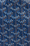 GOYARDINE ST LOUIS PM W/ POUCH