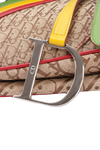 LIMITED EDITION DIORISSIMO RASTA SADDLE BAG