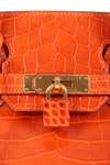 CROCODILE NILOTICUS BIRKIN 30