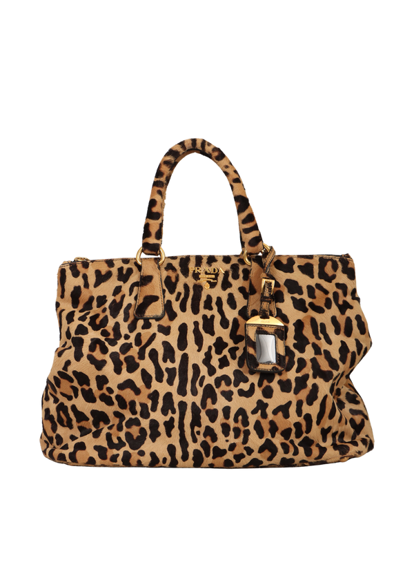 CAVALLINO LEOPARD LUX GALLERIA