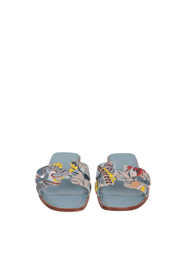 FANTAISIE BOTANIQUE ORAN SLIDES 36.5
