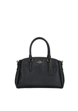 MINI SAGE CARRYALL BAG