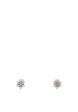 DIAMOND STARS 18K EARRINGS