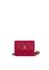 MINI PEARL CRUSH WALLET ON CHAIN