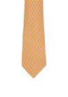 PRINTED SILK TIE