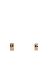 NANOGRAM EARRINGS