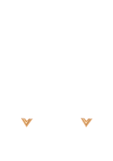 ESSENTIAL V STUD EARRINGS