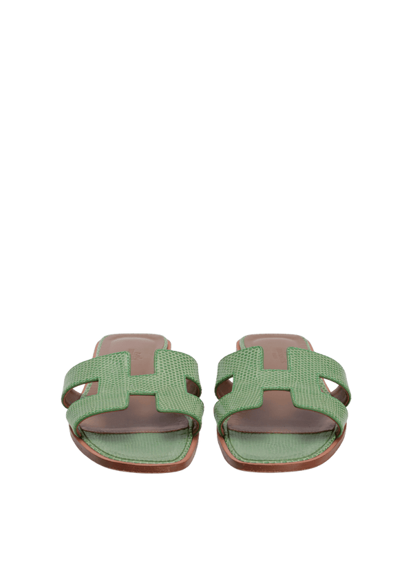 LIZARD ORAN SLIDES 36.5