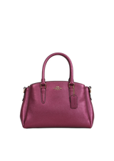 MINI SAGE CARRYALL BAG