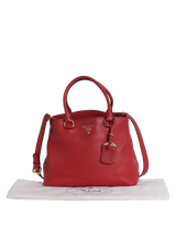 VITELLO DAINO PHENIX SATCHEL