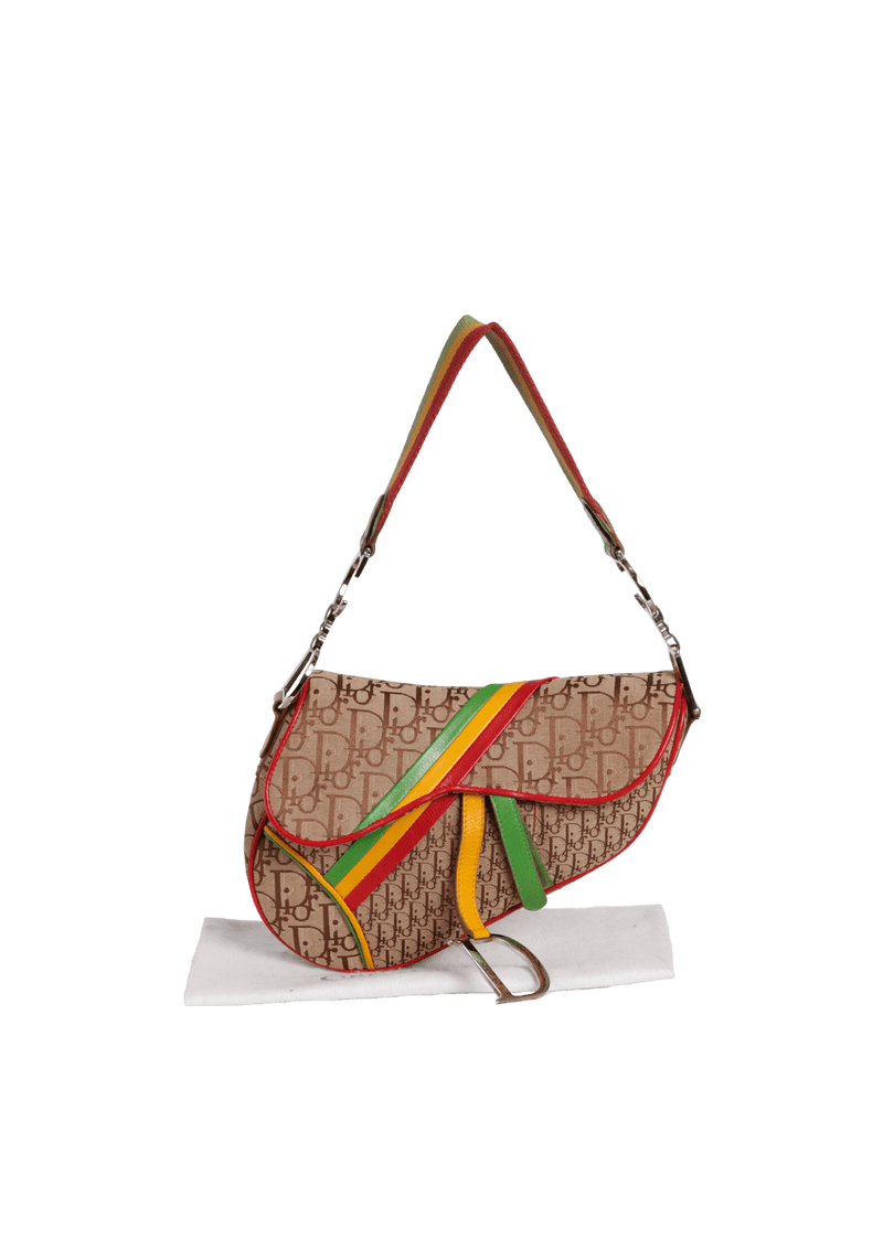 DIORISSIMO RASTA SADDLE BAG