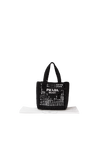 SMALL RAFFIA CROCHET TOTE