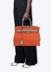 BICOLOR CLEMENCE BIRKIN 35
