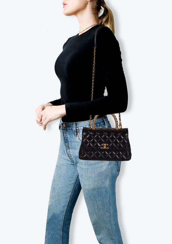 SMALL COCO HANDLE BAG