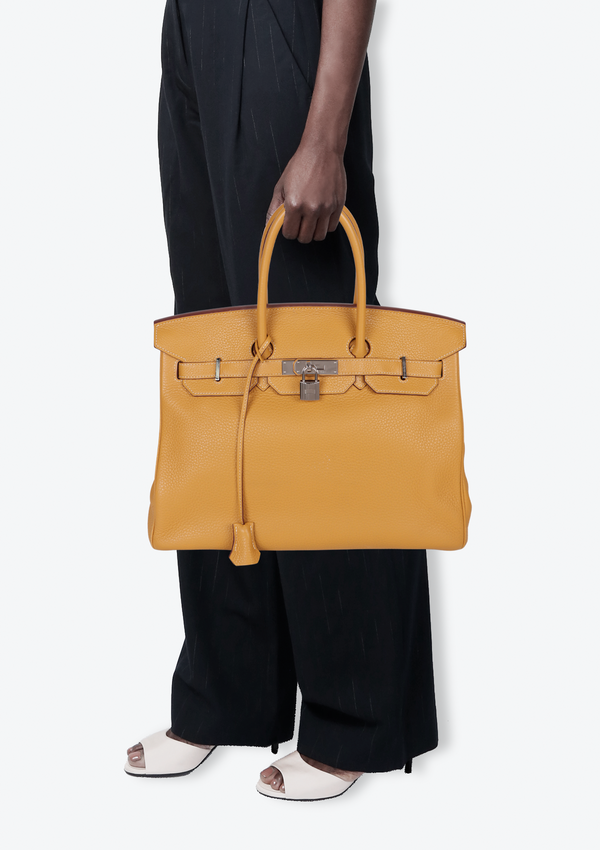 CLEMENCE BIRKIN 35 PALLADIUM HARDWARE