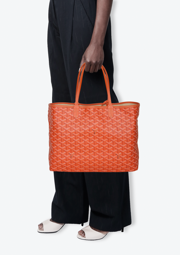 GOYARDINE ST LOUIS PM W/ POUCH