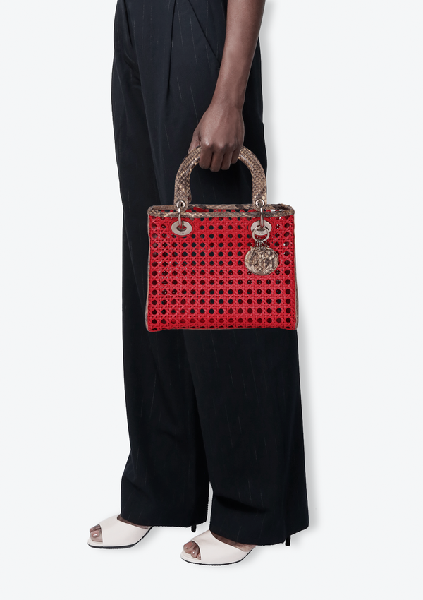 PYTHON-TRIMMED LADY DIOR