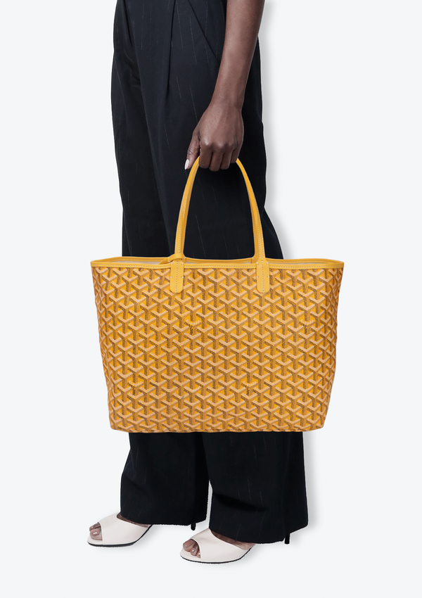 GOYARDINE ST LOUIS PM W/ POUCH