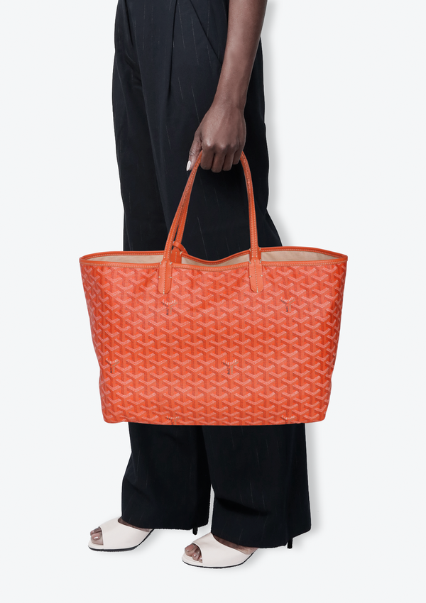 GOYARDINE ST LOUIS PM W/ POUCH
