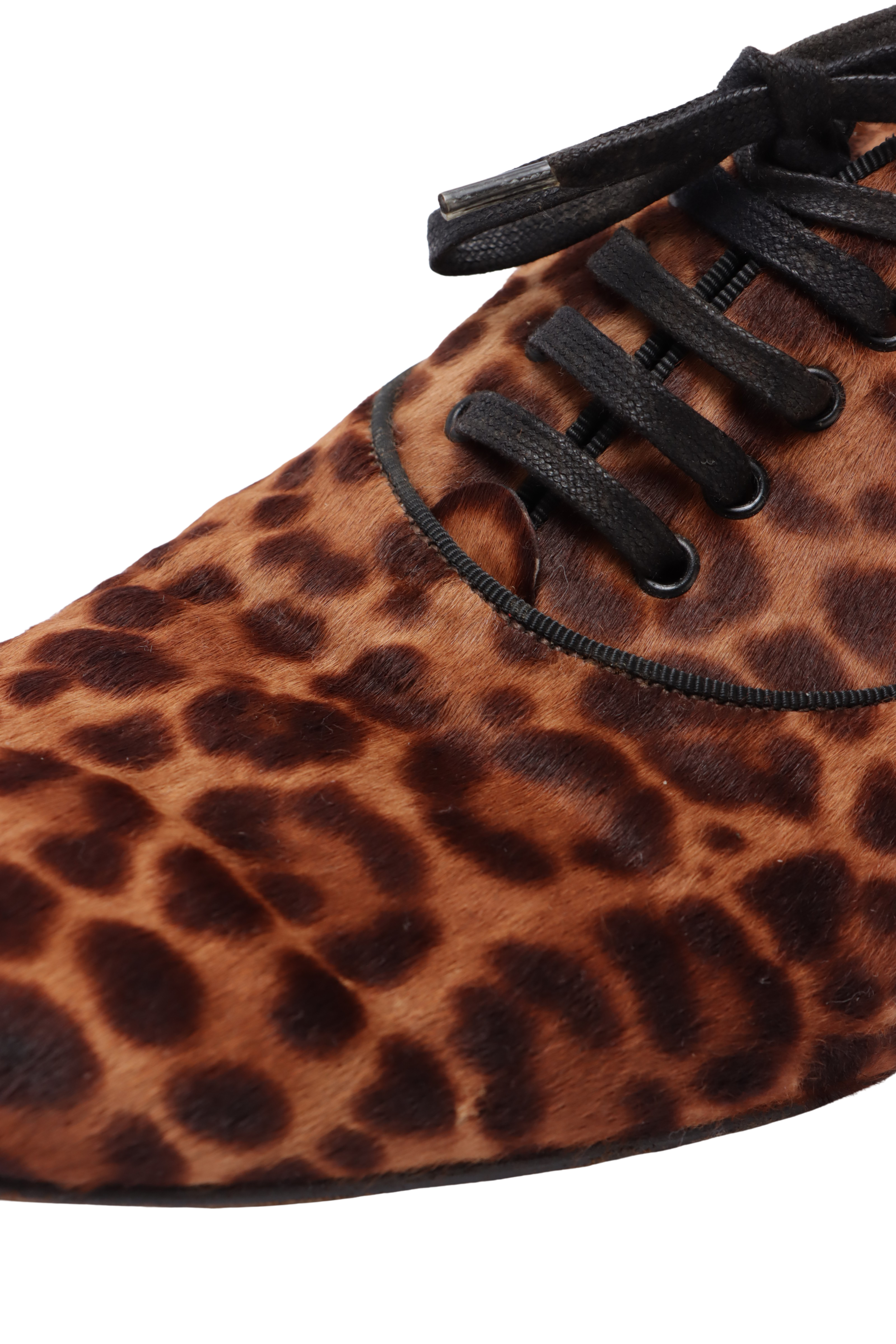 ANIMAL PRINT OXFORD 40.5