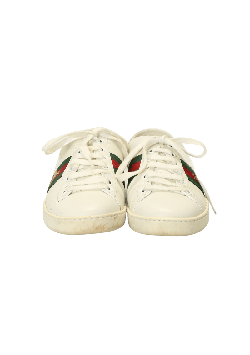 WEB BEE SNEAKERS 37