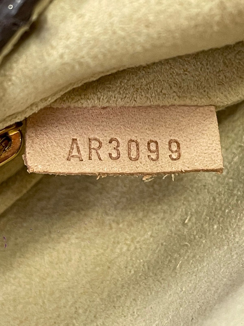 MONOGRAM ETOILE CLUTCH
