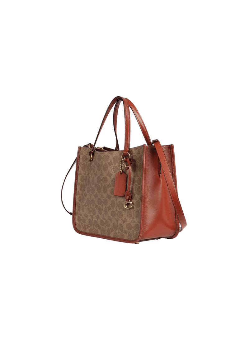 SIGNATURE SATCHEL BAG