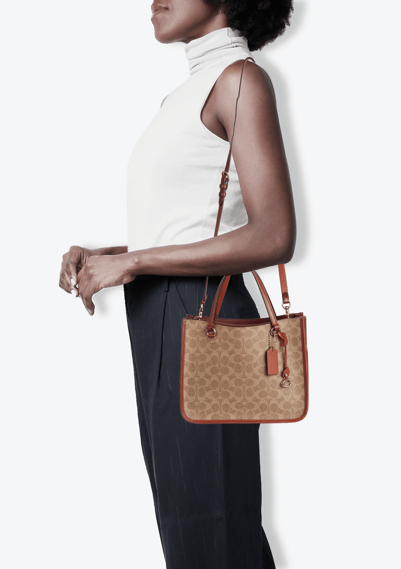 SIGNATURE SATCHEL BAG