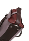 TRICOLOR SWAGGER BAG