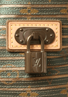 LIMITED EDITION MONOGRAM EDEN NEO BAG