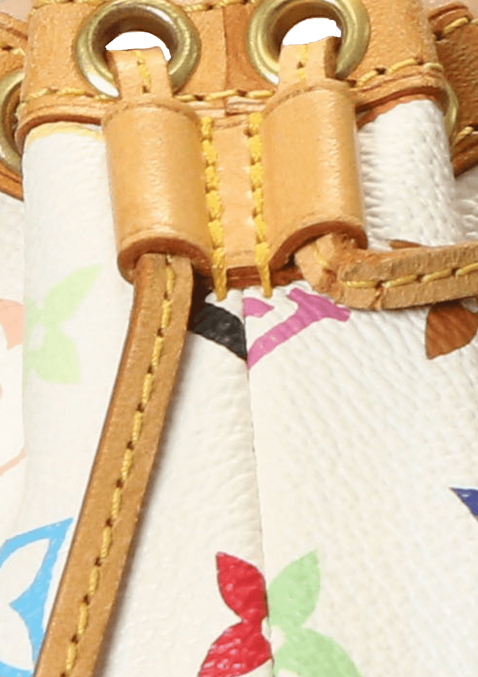 MONOGRAM MULTICOLORE THEDA PM