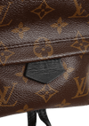 MONOGRAM PALM SPRING MINI BACKPACK