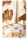 MULTICOLORE MONOGRAM SPEEDY 30