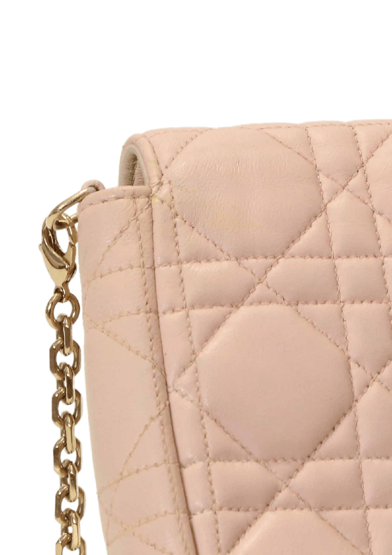 CANNAGE MISS DIOR PROMENADE POUCH