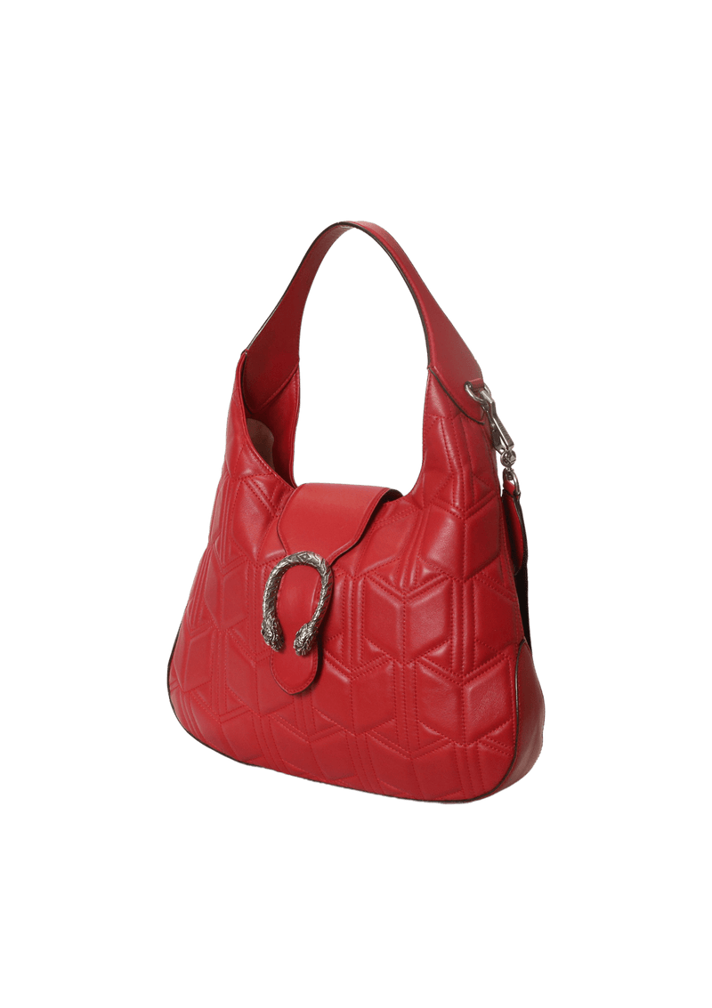 Gucci best sale dionysus hobo