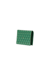 GOYARDINE PASSPORT COVER CASE